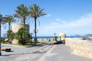 a street with palm trees and a wall and the ocean at Thomas' House in Alghero
