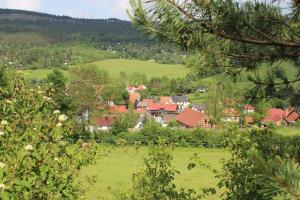 a village in a green field with houses at Ferienwohnung Kleinbreitenbach in Plaue