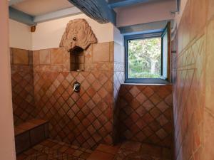 a bathroom with a shower with a window at Domaine Xixtaberri in Cambo-les-Bains