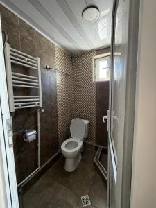 a small bathroom with a toilet and a shower at Hotel Nestt in Kazbegi +39 photos