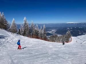 two people skiing down a snow covered ski slope at Mmapartment in Feistritz ob Bleiburg