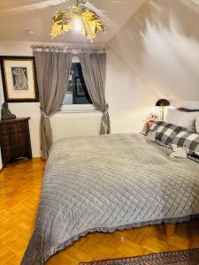 a bedroom with a bed and a window at Mmapartment in Feistritz ob Bleiburg
