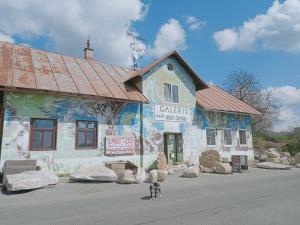 a dog walking in front of a building at Ubytování v galerii in Zlatá Olešnice
