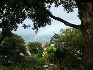 een regenboog in de lucht boven een haven met boten bij Le matelot de la baie in Deshaies