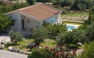 a house with a swimming pool in a garden at Villa Ippokampos Ideales Resort in Kefallonia +10 photos
