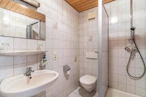 a bathroom with a sink and a toilet and a shower at Vogtshof in Bad Rippoldsau-Schapbach +49 photos
