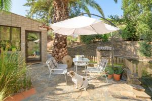 a white dog sitting on a patio under an umbrella at Casa Lago - Selão da Eira in São Teotónio