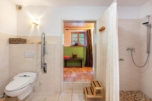 a bathroom with a shower with a toilet and a sink at Kammbühlhof in St. Blasien +27 photos