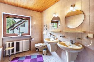 a bathroom with a sink and a toilet and a mirror at Marlene in Friesenheim +29 photos