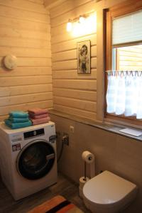 a bathroom with a washing machine and a toilet at Ferienhaus Zuehlke in Groß Nemerow