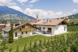 a house in a vineyard with a field of grapes at Natur Suite Edelweisshof App Heidi in Chiusa