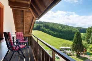 two chairs on the balcony of a cabin with a view at Ferienwohnung Ringwald in Niederbach