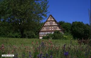a building in a field with flowers in the foreground at Haus am Waldrand in Triberg +37 photos