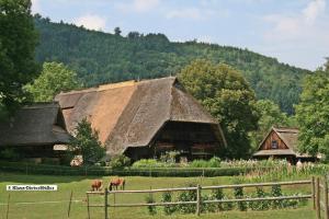 a large barn with two horses grazing in a field at Haus am Waldrand in Triberg