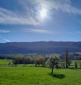 a green field with the sun in the sky at la fontaine bénite in Seyssel