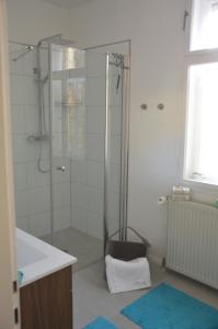 a bathroom with a shower and a sink at Ferienwohnung Harz Idylle in Güntersberge