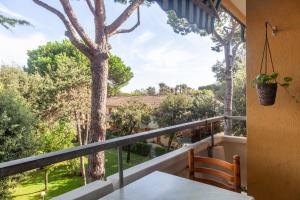 a view from the balcony of a house with a tree at Casa Cesarina in Massa