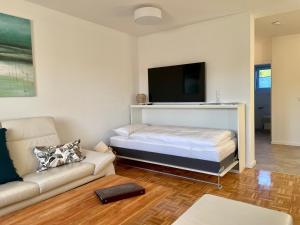 a living room with a couch and a flat screen tv at Hopfenglück in Tettnang