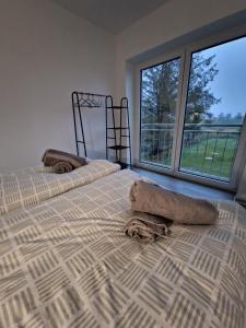 a bedroom with two large beds with large windows at Ferienhäuser Ebbe und Flut in Schülp