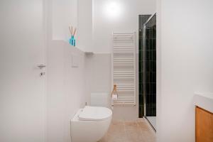 a white bathroom with a toilet and a shower at Casita Lemos in Triggianello +12 photos