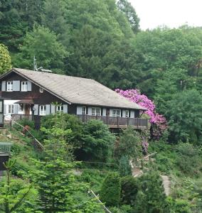 a house in the middle of a forest at Ferienhaus Sara in Seebach
