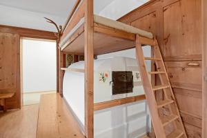 a bunk bed in a tiny house at Rafaser - Apartment Rustika in Feldthurns