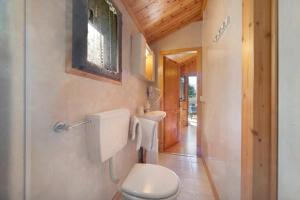 a bathroom with a toilet and a sink at Casa Genziana in Barzio