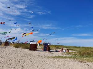 a group of people flying kites on the beach at Ferienwohnung Freesenhuus in Wangerland