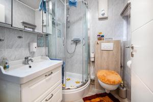 a bathroom with a shower and a sink and a toilet at Ferienwohnung Freesenhuus in Wangerland +16 photos