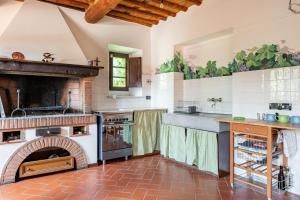 a large kitchen with an oven and a fireplace at La Casina di Elisa in Montecarlo