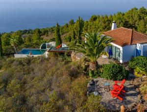 a house with a palm tree and a pool at Villa Miramar in Puntagorda