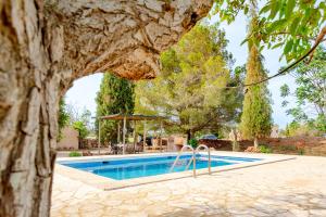 a swimming pool in a villa with a tree at Can Espina in Islas Baleares