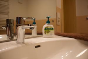 a bathroom sink with a bottle of soap on it at Ferienhaus Kiara in Westerhausen +32 photos