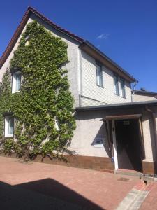 a house with a green ivy on the side of it at Ferienhaus Kiara in Westerhausen