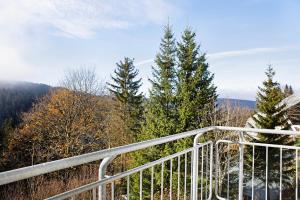 a view from the top of a mountain with trees at Ferienwohnung Tannenblick 6-2 in Oberhof
