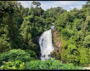 a waterfall in the middle of a forest at Alhind Residency , Valara, Munnar in Munnar