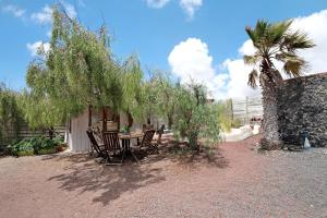 a patio with a table and chairs under a tree at Aloe Art in Teguise