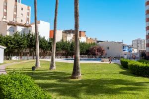 a group of palm trees in a park at Torre del Mar Studio in Torre del Mar