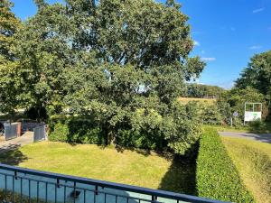 a tree in a park next to a fence at room4rent in Lingen +3 photos