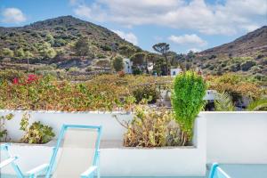 a view from the roof of a house with chairs and flowers at Beachfront Lampis Dolphin 3 in Skala