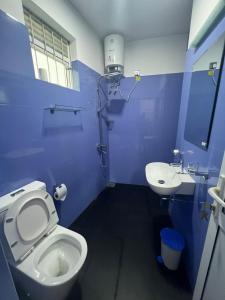 a blue bathroom with a toilet and a sink at Luxe Mini-Suite Maharagama in Maharagama +9 photos