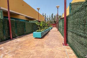 a fence with a row of plants on a sidewalk at Ocean Suites A5 in Isla Cristina