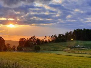 a sunset over a field of grass with the sun setting at Alb - Lotte in Bitz +19 photos