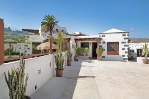 a white house with potted plants in a courtyard at Casa Golondrina in Teguise