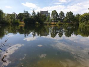 a large body of water with trees and buildings at Ferienwohnungen Karle in Künzelsau