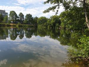 a body of water with trees and clouds in it at Ferienwohnungen Karle in Künzelsau