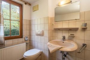 a bathroom with a sink and a toilet and a mirror at Ferienwohnung Achraintal 1 in Lindau