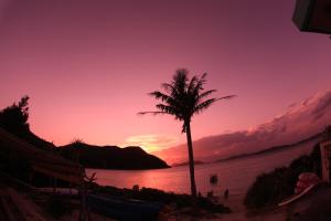 a palm tree on a beach with a sunset at Tokashiku Marine Villege in Tokashiki