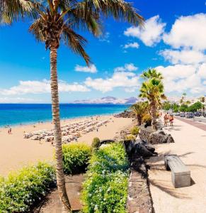 a beach with palm trees and people on the beach at Casa Playa Palmeras in Puerto del Carmen