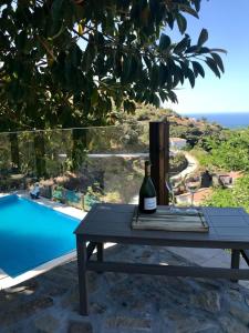 a bottle of wine sitting on a table next to a pool at Finca Colica in Cómpeta